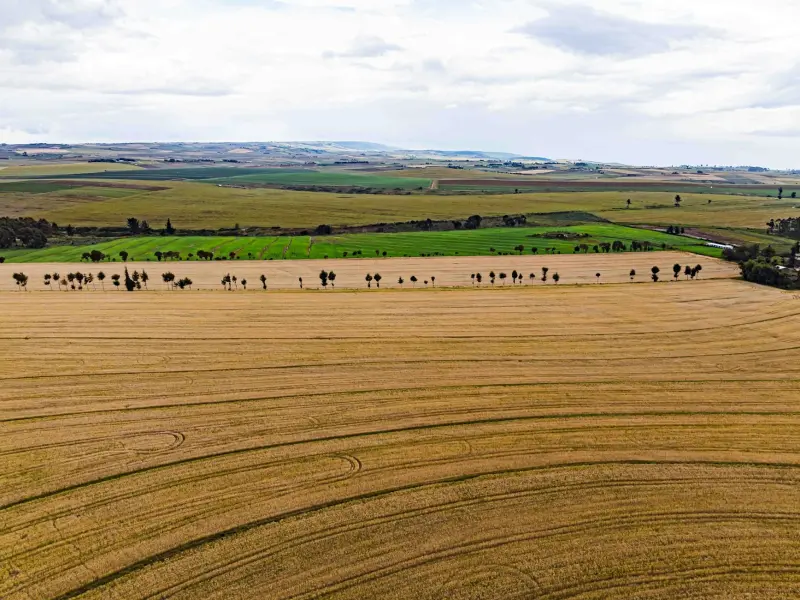 African farmland and crops contributing to regional food security